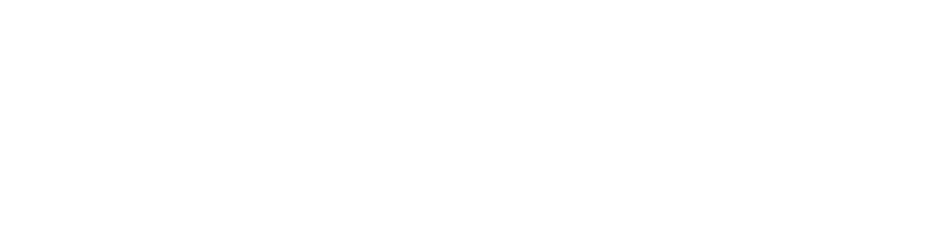 DIGITALEUS KNOWLEDGE PROVIDER